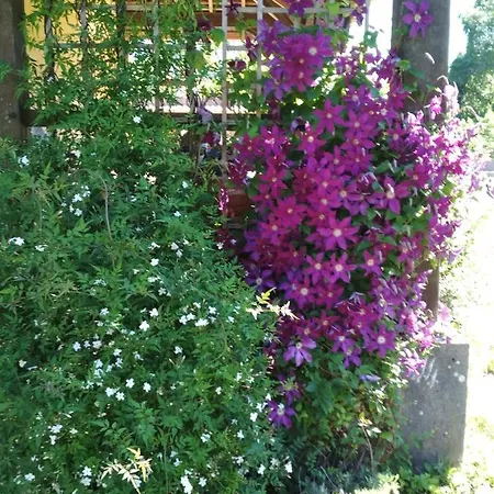 B&B Falgueret